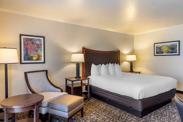 غرفة قياسية بسرير كوين لذوي الإعاقة، Best Western Plus Royal Oak Hotel 3/7