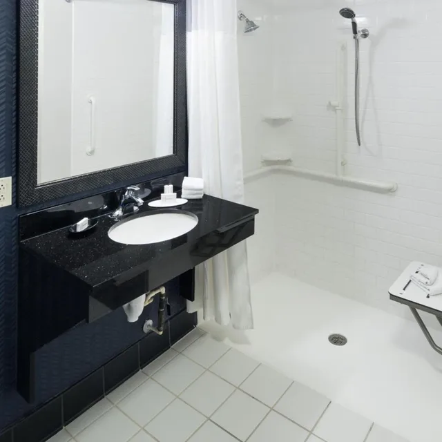 Room, King Bed, Bathtub, Accessible, Fairfield Inn And Suites Orlando At Seaworld 3/10