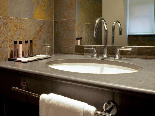 Standard, Single, Cour du Corbeau Hotel Strasbourg - MGallery Collection 1/1