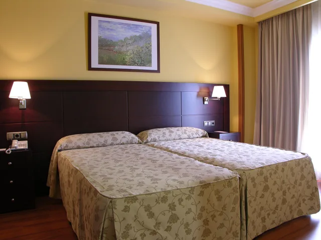 غرفة قياسية مفردة بسرير مزدوج، Hotel Ii Castillas Avila 1/1