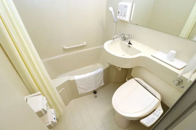 Plus, Premium, Double Bed، Toyoko Inn Osaka Hommachi No.2 1/1