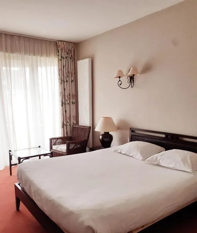غرفة بسرير مزدوج أو سريرين منفصلين بإطلالة على المدينة، Grand Hotel De Solesmes 1/3