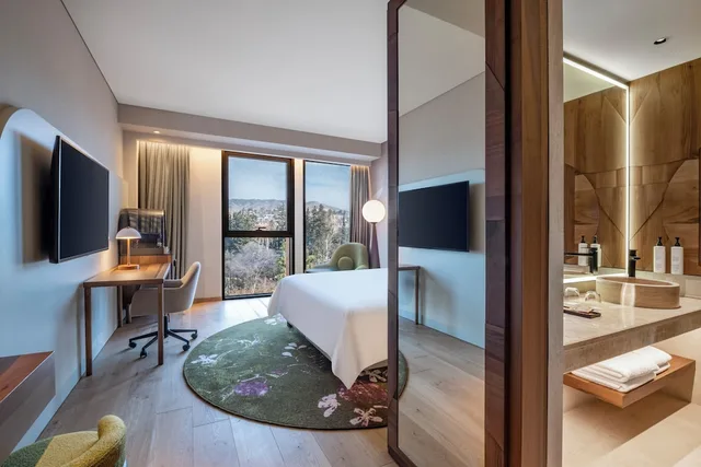 Swiss, Business, Double Bed، Swissotel Tbilisi 9/9