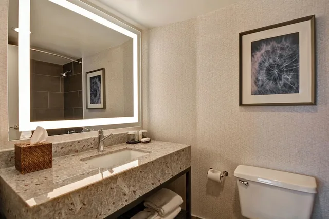 جناح بسريرين كوين مع أريكة لذوي الإعاقة، Embassy Suites by Hilton Minneapolis Airport 5/7