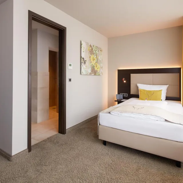 Room, Single, Hotel Platzhirsch 1/6