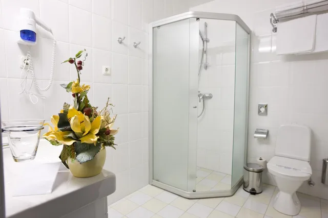 Loft, Suite، Best Baltic Hotel Kaunas 5/6