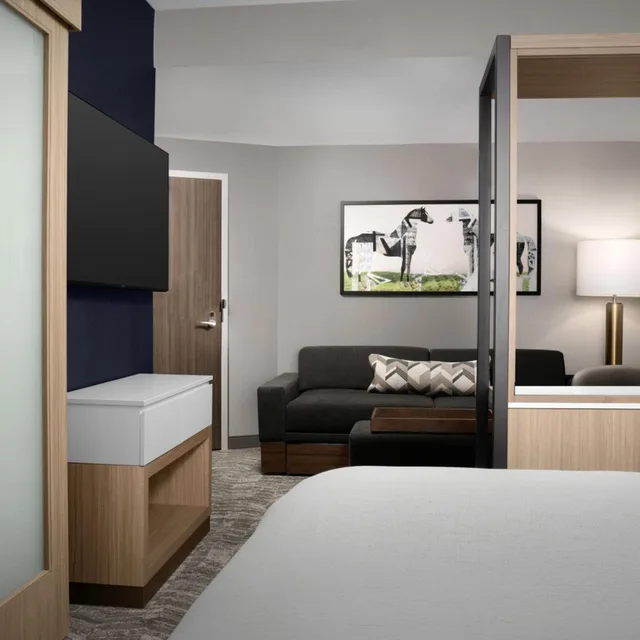 جناح بسرير كينج مع سرير سحّاب إضافي مع أريكة لذوي الإعاقة، Springhill Suites by Marriott Lexington Fritz Farm 2/3