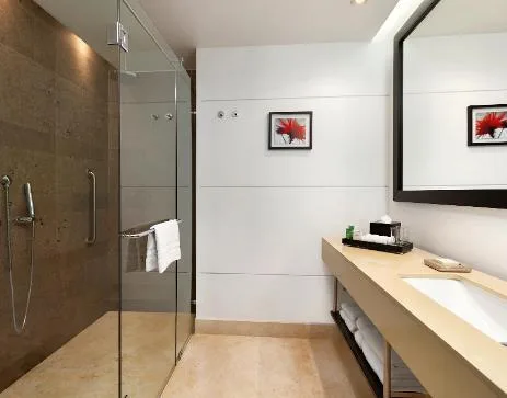 غرفة ديلوكس بسرير مزدوج، Hilton Bogota 4/5