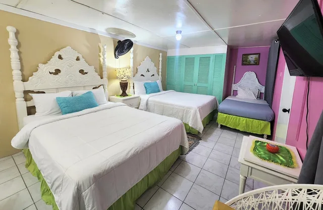 Family, 1 Single and 2 Queen Beds, Pool Access, Pinkhibiscus Guest House 9/10