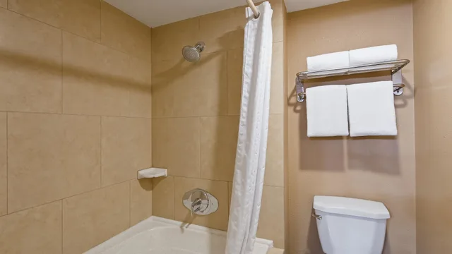 Standard, King Bed, Royal Sun Inn & Suites 8/9