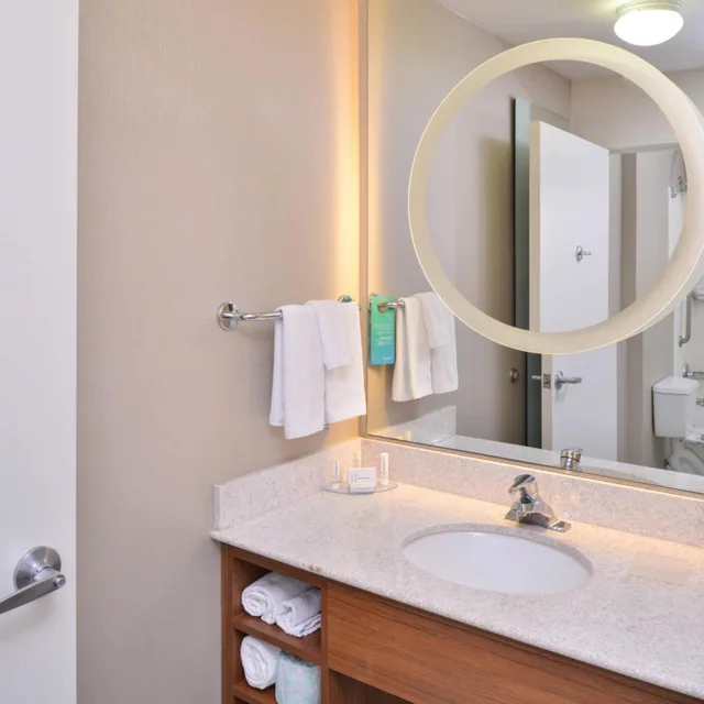 جناح بسرير كينج مع أريكة بحوض استحمام لذوي الإعاقة، Springhill Suites By Marriott 2/3
