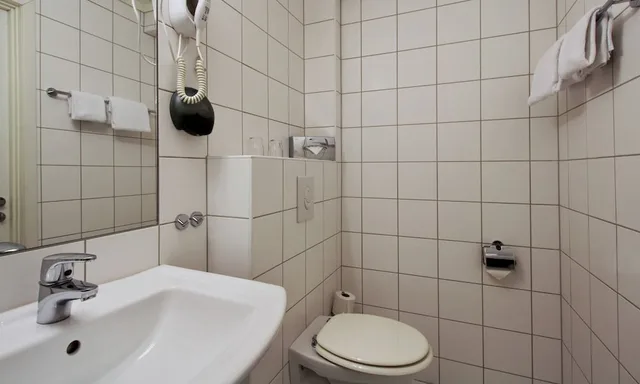 غرفة بزنس بسرير مزدوج، Thon Hotel Baronen 4/4