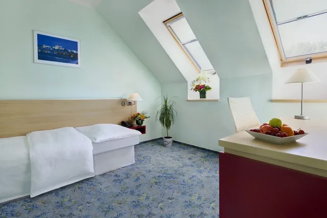 غرفة سوبيريور مفردة، Hotel Michael 1/3