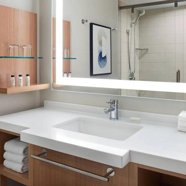 غرفة بسرير كينج، Delta Hotels By Marriott Saskatoon Downtown 3/6