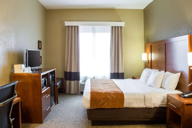 غرفة بسرير كينج، Comfort Suites Grand Rapids South 3/9
