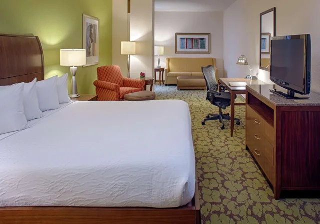 جناح بسرير كينج بغرفة نوم واحدة لذوي الإعاقة، Hilton Garden Inn New Orleans French Quarter/CBD 3/4