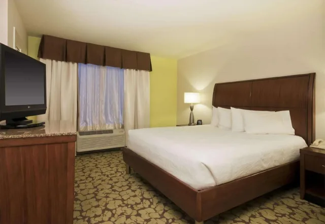 جناح بسرير كينج بغرفة نوم واحدة مع أريكة لذوي الإعاقة، Hilton Garden Inn Fort Worth North 3/8