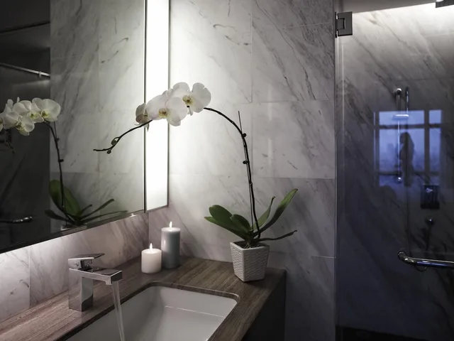 جناح تنفيذي بسرير كينج مع أريكة مع دخول صالة النادي، Pullman Hanoi Hotel 9/10