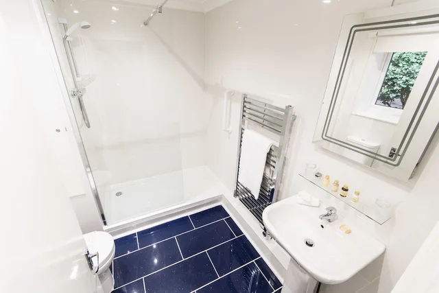 1 Bedroom, Superior, King Bed, Grovefield Manor 1/1