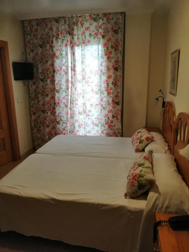 Room, Double or Twin Bed, Hotel Paloma 7/7