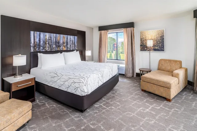 غرفة قياسية كبيرة بسرير كينج مع أريكة، Aiden by Best Western Warm Springs Hotel and Event Center 6/8
