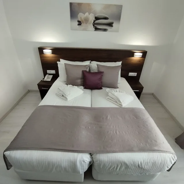Standard, Twin Beds, INTERNATIONAL ATENE HOTEL 1/5