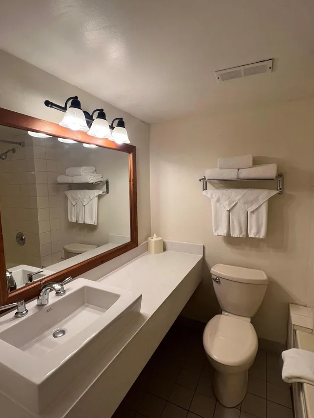 Room, King Bed, Lake Front، Hidden Valley Resort, Ascend Hotel Collection 8/8