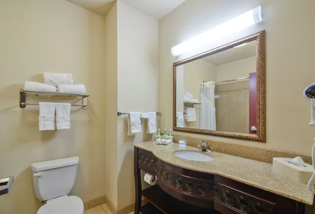 جناح بسرير كينج بمنطقة جلوس، Holiday Inn Express Hotel Suites Terrell 3/3