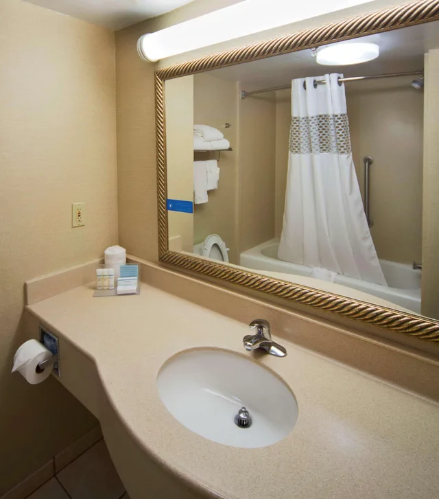 Studio, King Bed, Hampton Inn and Suites Valdosta Conference Center 3/3
