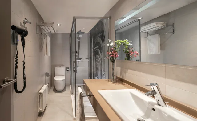 Superior, Double Bed, with View, NH Madrid Zurbano 2/2