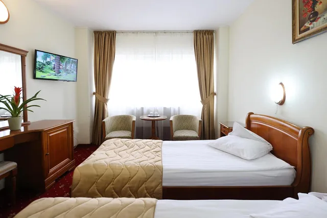 Room, Twin Beds, Palace View، Hotel Moldova 6/10