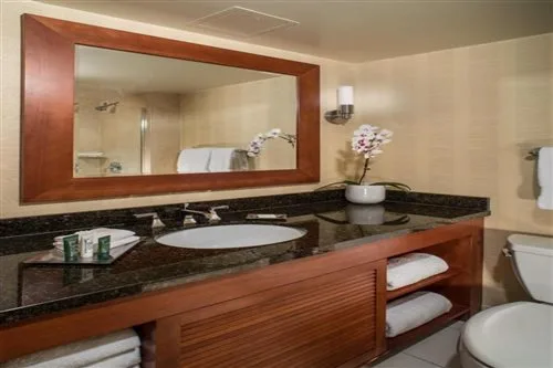 غرفة مفردة، Hilton Tampa Downtown 1/1