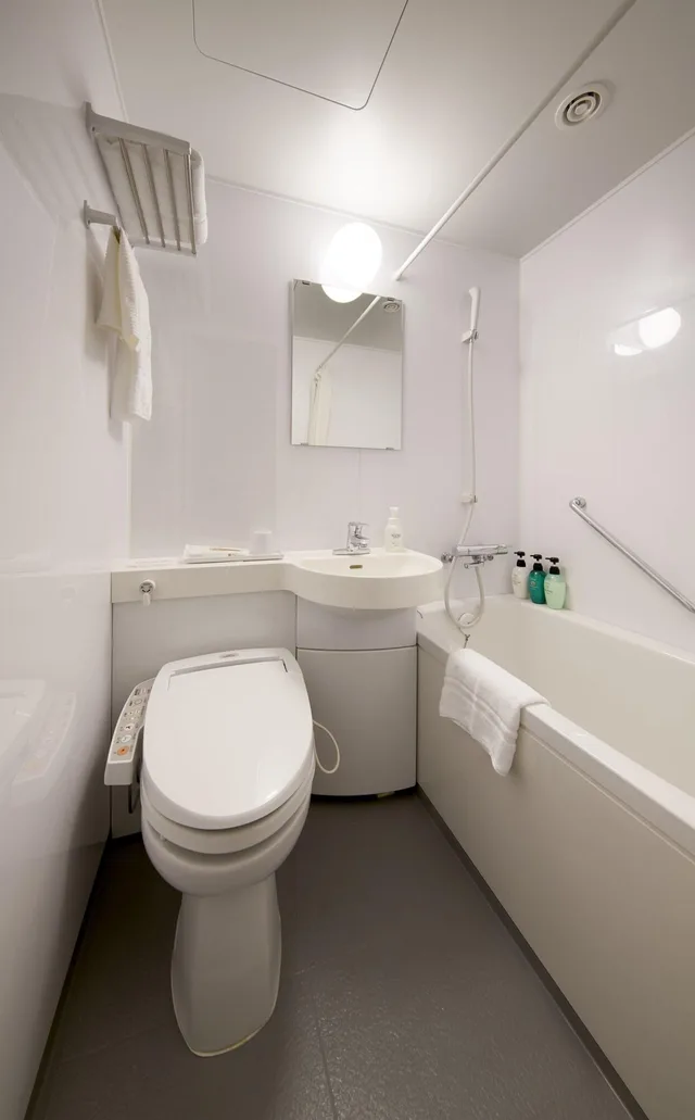 Comfort, Single, City View, Light Housekeeping، HOTEL Crown Hills Ueno Premier (ex Life Tree Ueno) 2/2