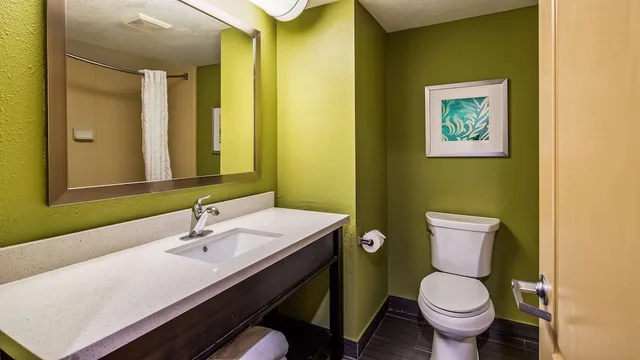 غرفة قياسية بسرير كينج، Best Western Plus Sanford Airport/Lake Mary Hotel 5/5