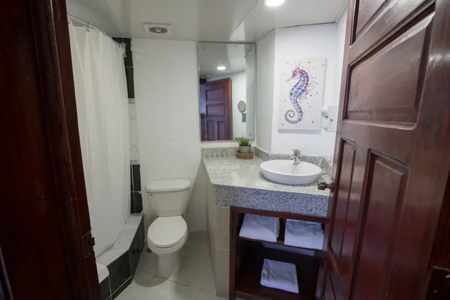 غرفة مفردة بسرير مزدوج، whala!bavaro 4/4