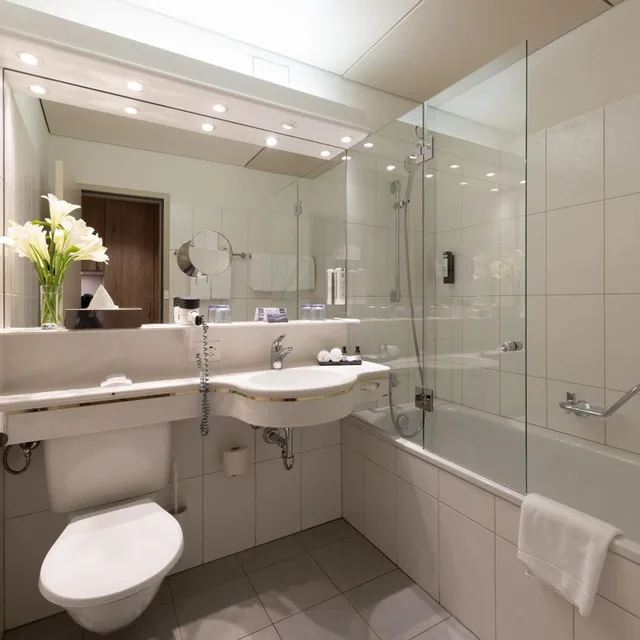 Modern, Single, Sunstar Hotel Grindelwald 5/6