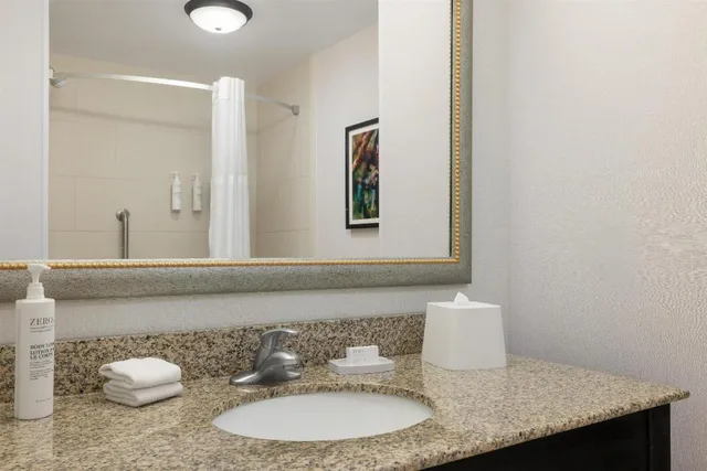 Room, King Bed, Street View, Balcony, Accessible، Hampton Inn And Suites Baton Rouge Downtown 2/2