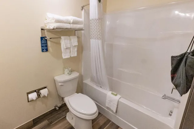 Standard, King Bed, Cobblestone Hotel & Suites-Sheldon 2/3