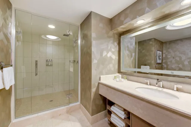 غرفة ديلوكس بسرير مزدوج بإطلالة، Hilton Washington DC Capitol Hill 4/5