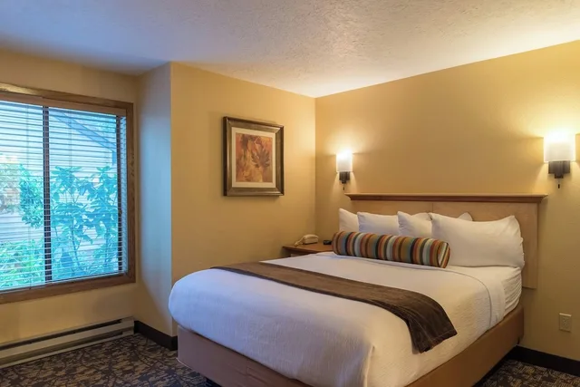 جناح فاخر بسريرين كوين بغرفتي نوم مع أريكة مع أريكة، Whispering Woods Resort 1/3