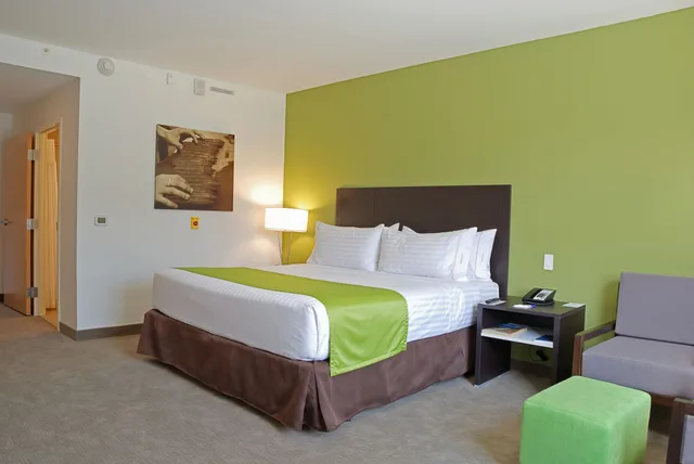 Standard, King Bed, Extra Floor Space، Holiday Inn Express Managua 2/10