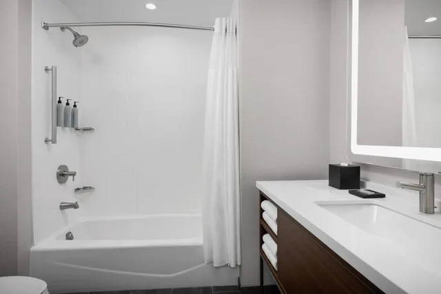 Standard, King Bed, Sofa, Bathtub, Accessible, Courtyard by Marriott Bozeman 7/8