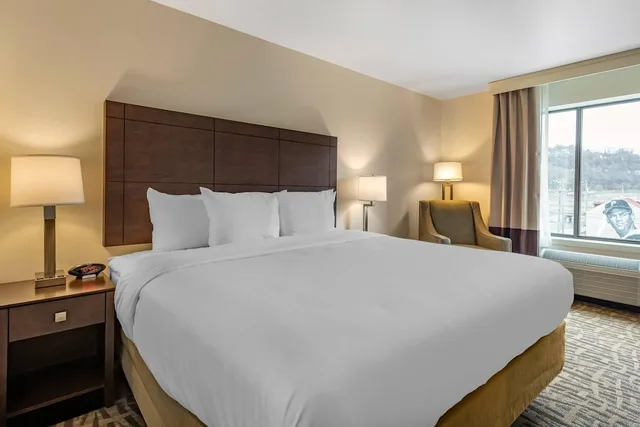 غرفة قياسية بسرير كينج، Comfort Inn and Suites Pittsburgh Northshore, PA 2/3