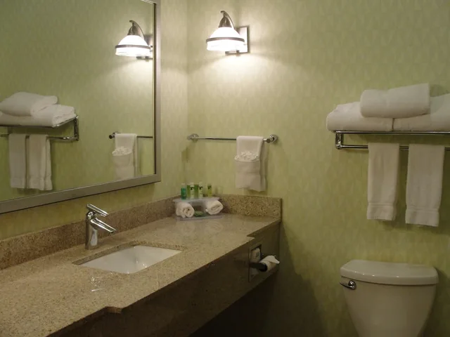 غرفة قياسية بسرير فردي، Holiday Inn Express Hotel Suites Atlanta East Lithonia 4/4