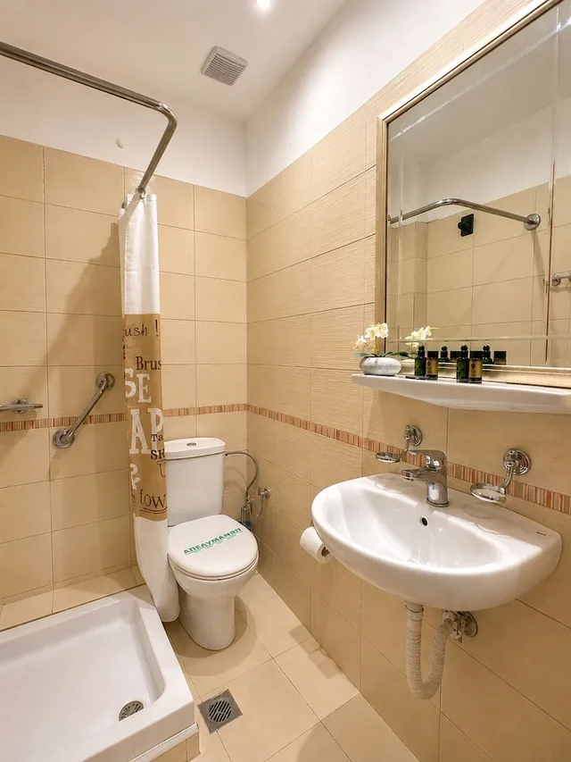 غرفة قياسية مفردة، Acropole Delphi Hotel 6/7