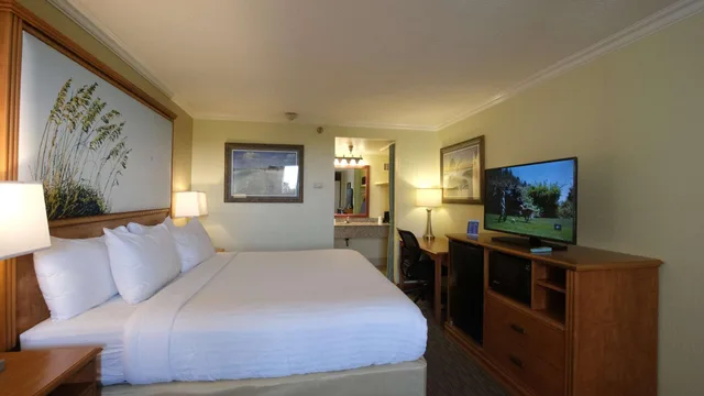 غرفة قياسية بسرير كينج، Spark by Hilton Sarasota Siesta Key Gateway 1/6