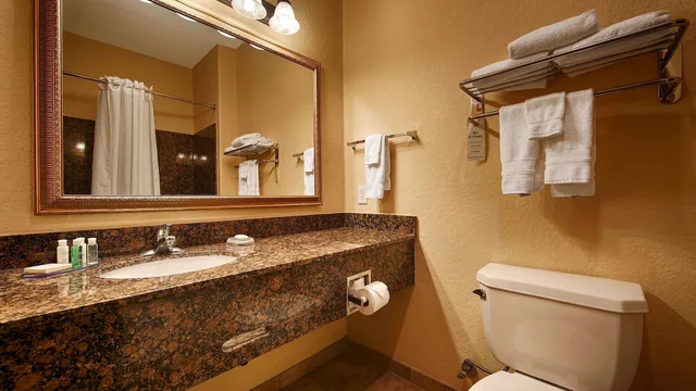 غرفة قياسية بسرير كينج، Best Western Plus Victoria Inn & Suites 5/5