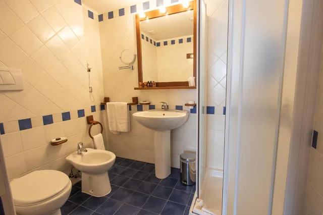 Room, Single, Park Hotel 6/6
