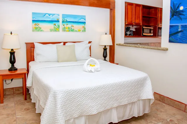 Studio, Suite, Beach Front، Mayan Princess Hotel 1/4