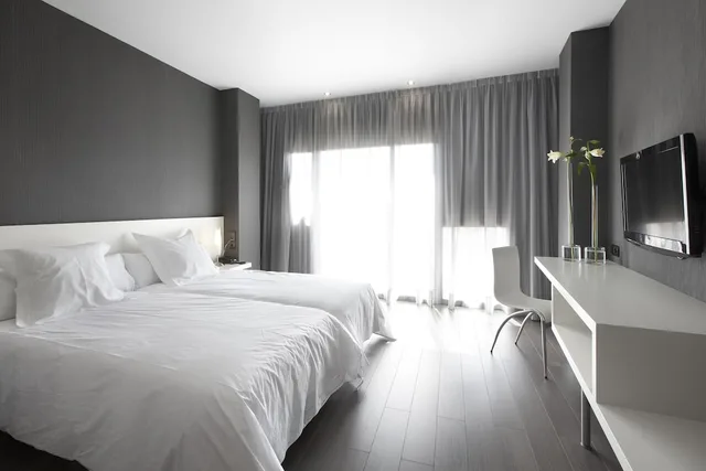 غرفة قياسية بسريرين منفصلين، Hotel Masmonzon 3/10
